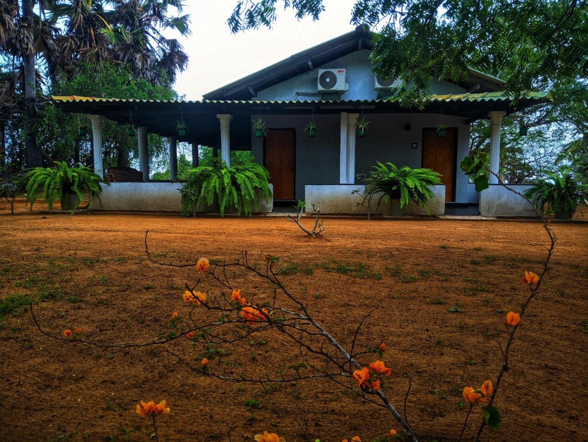 Beach Bungalow Yala Kirinda  Exteriér fotografie