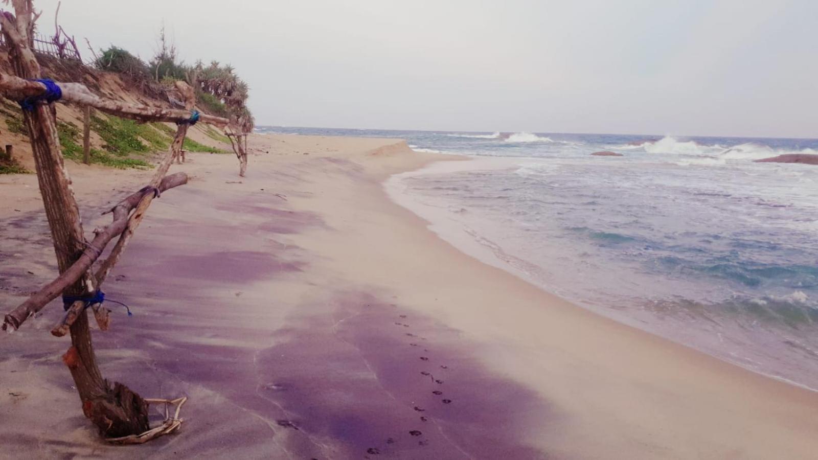 Beach Bungalow Yala Kirinda  Exteriér fotografie