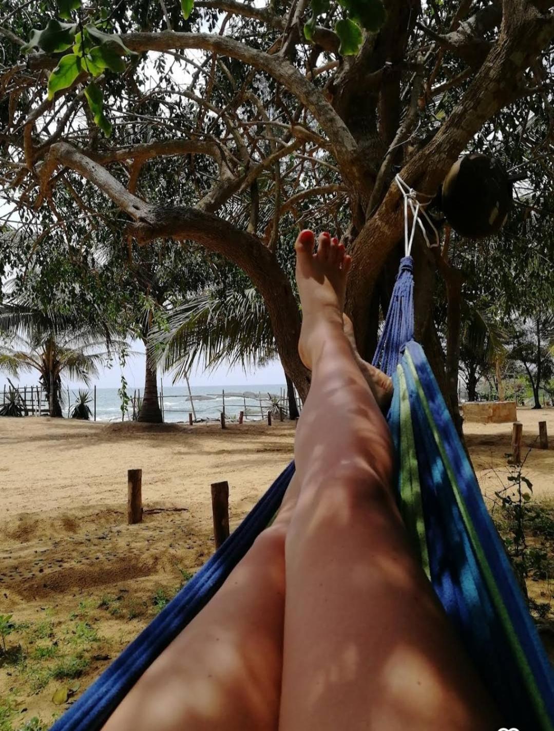 Beach Bungalow Yala Kirinda  Exteriér fotografie